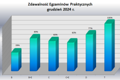 praktyka