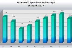 srednia-praktyka-podzial