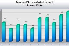 praktyka