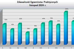 praktyka