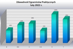 statystyka-luty-praktyka-podzial