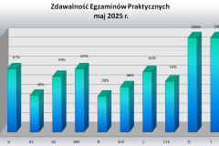 praktyka
