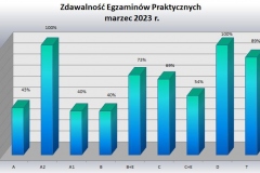 praktykapodzial