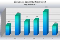 praktyka-podzial