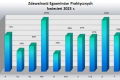 praktykapodzial