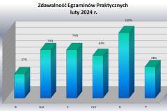 praktyka