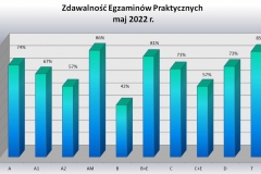 praktyka-podzial
