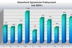 praktyka