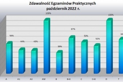 praktyka-podzial