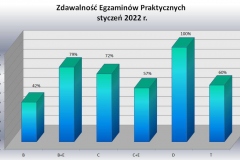 zd-praktyka-podzial